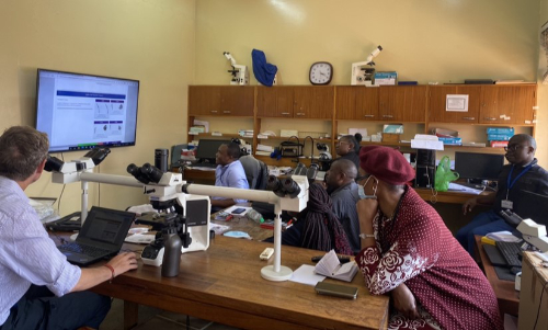 Group in Africa attending online pathology teaching.